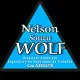 NELSON SOUZA WOLF